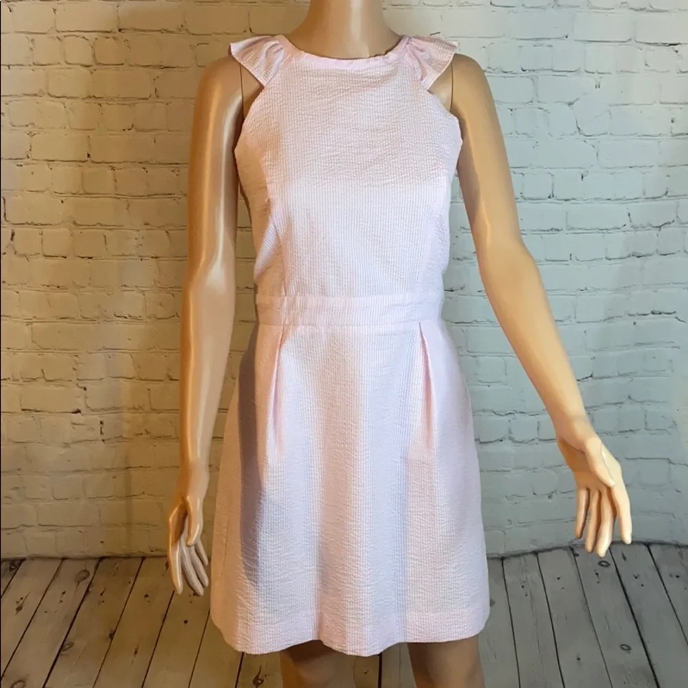 Lauren James Pink Claire Stripe derby Dress nwt